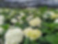 IMG-20221003-WA0055_edited.jpg