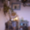FB4A7C33-DE4B-4920-94A8-F1353E2CACAA_edited.jpg