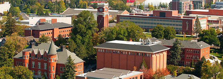 Washington State University campus and the Bryan clock tower