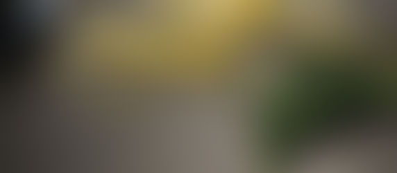 Hygienic Kitchen Countertops