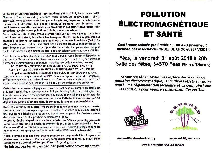 Pollution EM.jpeg