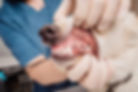 dog dental care