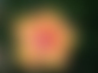 Catching Up — Saturday’s Post on Tuesday