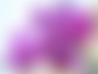 Hanging In — and Hanging On