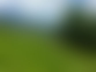 Coming — and Going