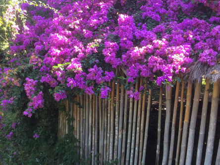 Learning, Teaching, and Traveling