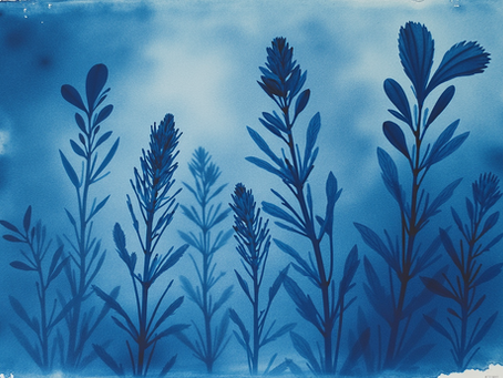 Discover Unique Cyanotype Prints for Your Home
