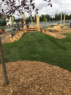 natural playground