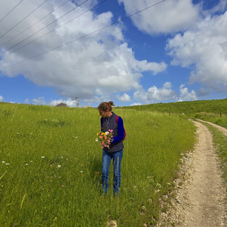 Ayelet picking more flowers
