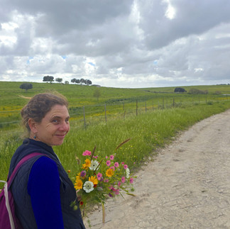 so many wild flowers!