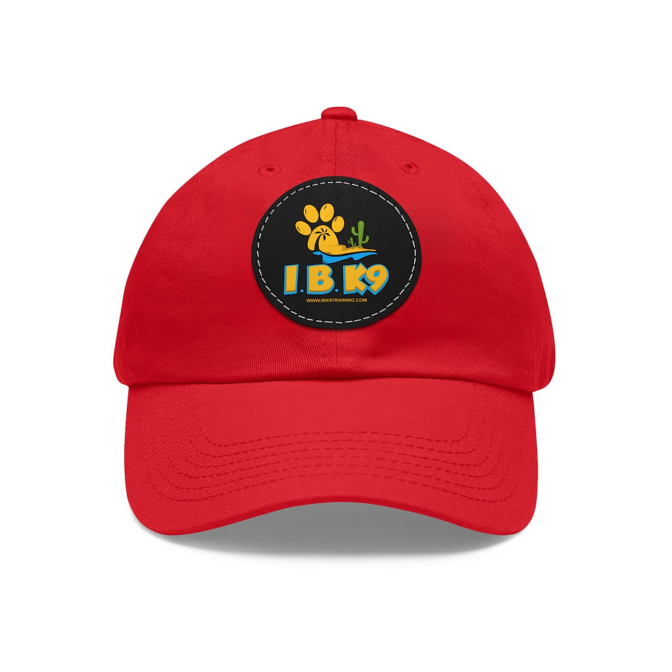 Thumbnail: IBK9 Dad Hat with Leather Patch