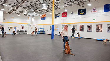 IMG_0330.jpg
