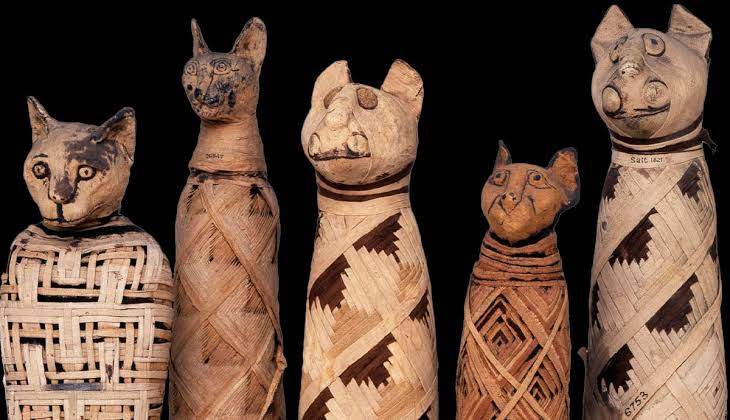 Sacred Animals of Ancient Egypt-The Museum of Time
