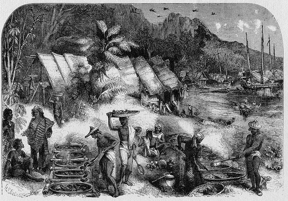 ancient trading in Australia- the museum of time