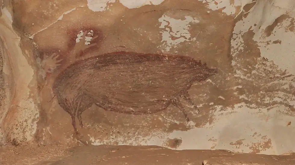 Leang Tedongnge cave art-The Museum of Time 