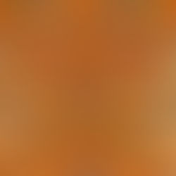 ancient chinese new year