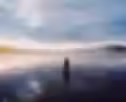 kripalu.avif