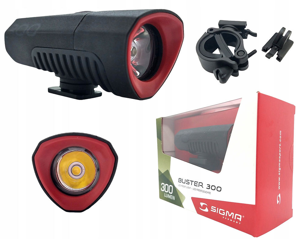 Sigma Buster 300