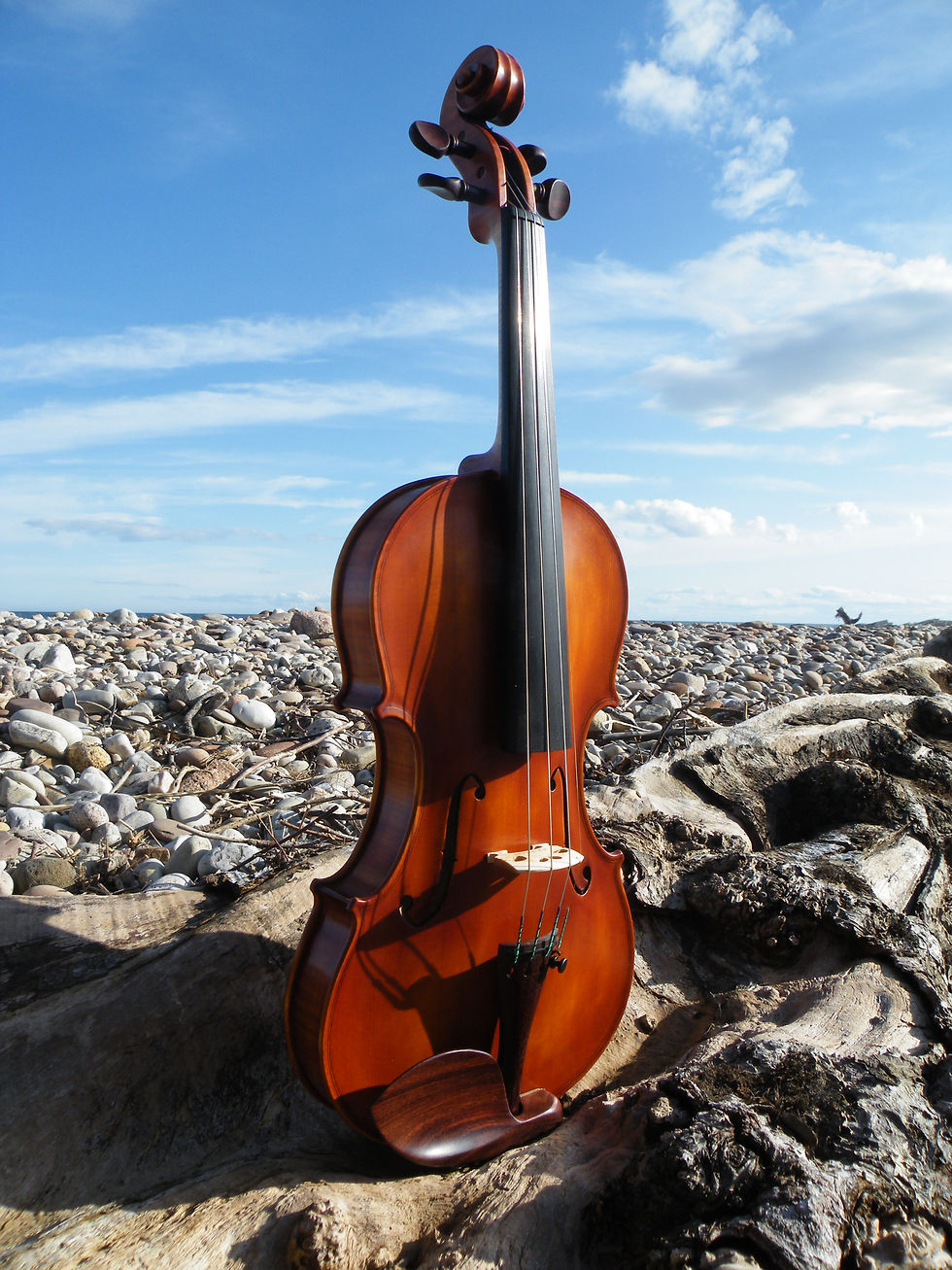 Will Mackay Violin.