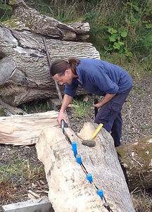 Double Bass Maker, Luthier, Double Bass, Scottish Violin