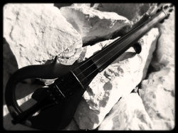 Stringed oddity
