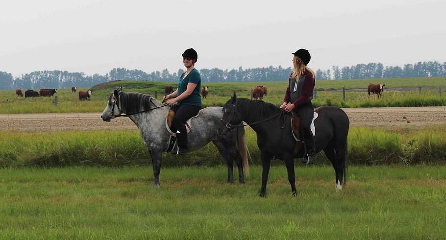 Alvesta Snowfairy & Naiya