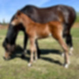 6 days old
