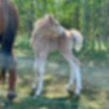 3 days old