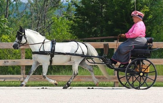 Alvesta Infinity, owned & driven by Susan Koos-Acker, WI.