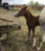 1 day old