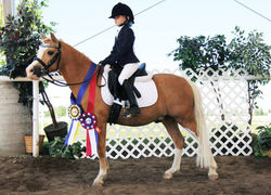 10968577_848941301811214_5465714323224297271_n