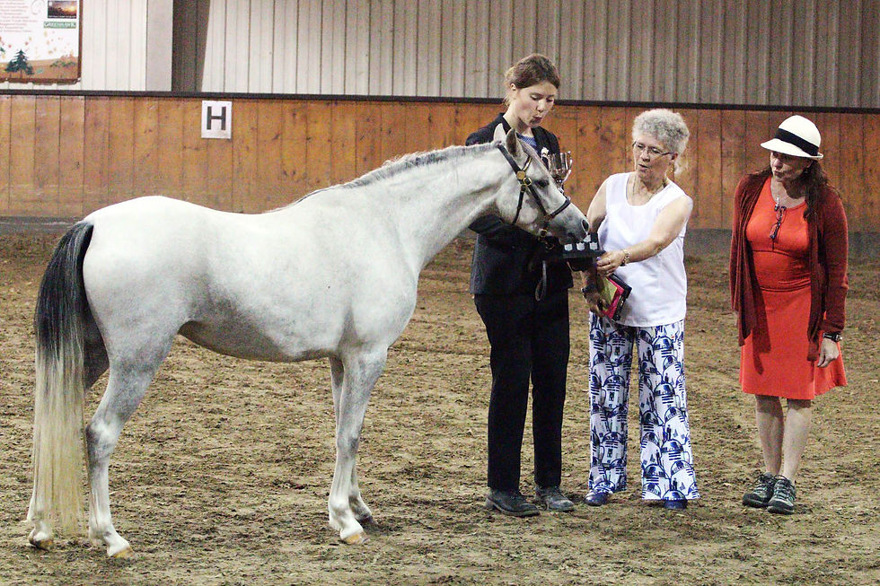 Alvesta Caelia (3 yrs)