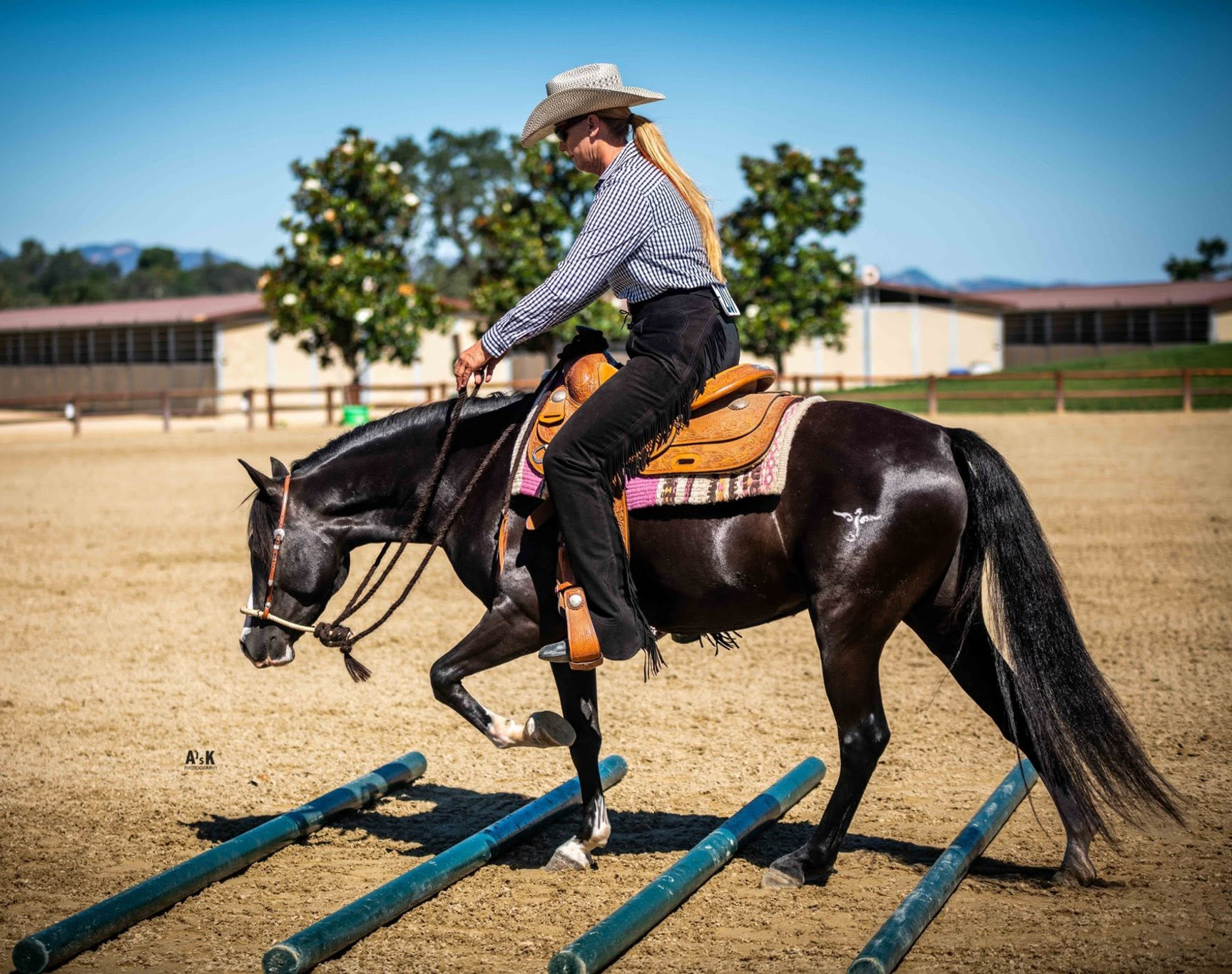 Exeter Violet, 4-yr-old Alvesta Brianna daughter, Calif.