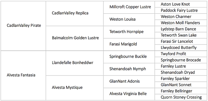 Alvesta Electra pedigree