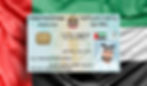 67766281ba687b8fcec33823_Emirates ID Explained (1).jpg