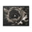 Thumbnail: Canvas Print - Floral Series