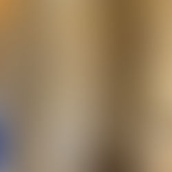 Shire Group: Framing, Masonry, and Stone Home Specialists