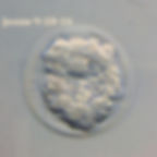 embryo