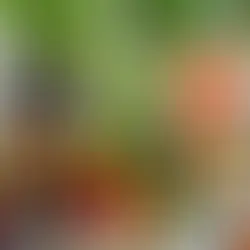 légumes de toutes les couleurs découpés et placés dans des bols