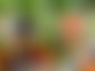 légumes de toutes les couleurs  découpés et placés dans des bols 