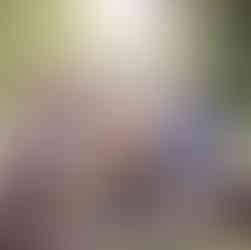 Fall Family Minis at Henry Horton State Park- Jessie Arras Photography - Family photographer of marshall county, bedford county, coffee county