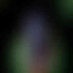 nashbille equine photographer, christmas eqine photography, shelbyville equine photographer, lewisburg equine photographer, black background equine portraits