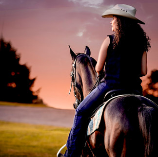 riding into the sunset in wartrace tn. shelbyville walking horse photography. trending horse photographer in bedford county tennessee. senior photographer in lewisburg tn. marshall county high school. cascade high school. shelbyville central.