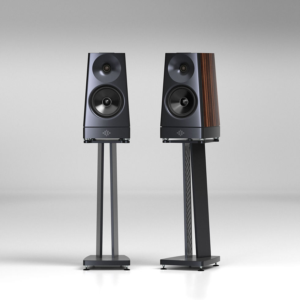YG Acoustics Tor