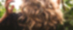 Close up detail of womans brown wavy hair