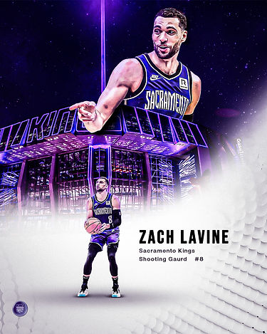 Graphic #8 - Lavine.jpg