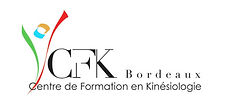 logo cfk - école de kinesiologie - Bordeaux