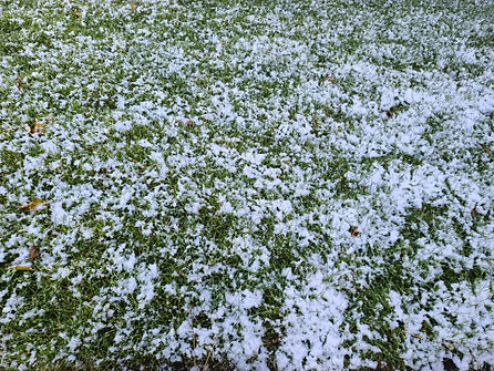 sodding in the fall.jpeg