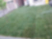 installed sod watering