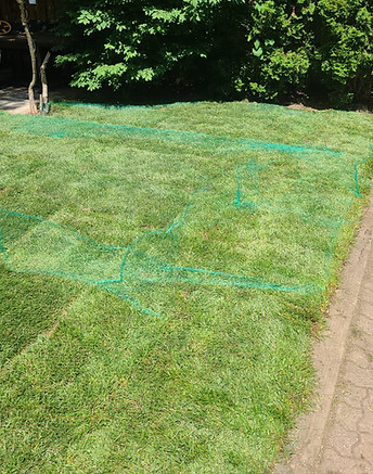 protective netting against racoons.jpeg